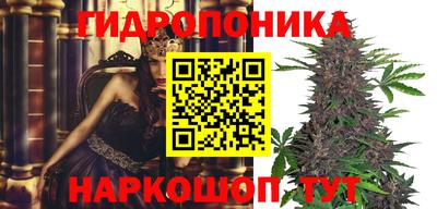 прущие крисы Севастополь